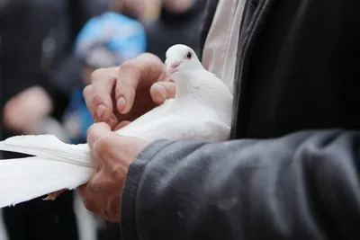 Благовещение Пресвятой Богородицы изображено в Софии Киевской на старинной  фреске - фото | РБК Украина