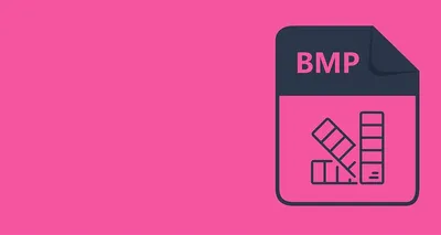 What Does BMP Mean (And How to Convert It to PDF)