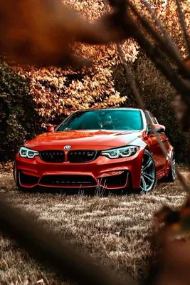 Скачать 800x1280 bmw x6, bmw, синий, скорость, вид сбоку обои, картинки  samsung galaxy note gt-n7000, meizu mx2