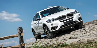 Фото BMW X6 M F16 - Quto.ru