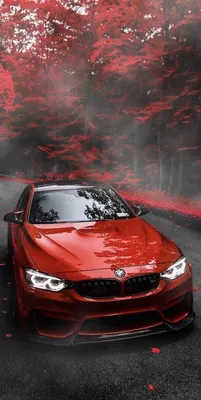 BMW HD wallpaper for phone. | Bmw, Cool car pictures, Sports car wallpaper