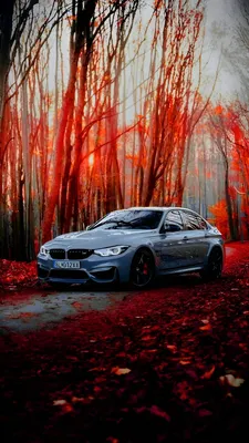 BMW M3, bmw, car, f80, fog, low, m power, m3, sedan, tuning, vehicle, HD  phone wallpaper | Peakpx