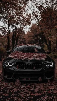 Wallpaper BMW M5 F90 2019 Edition 35 Years auto Front 1080x1920