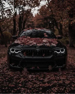 Autumn BMW Wallpapers - Wallpaper Cave