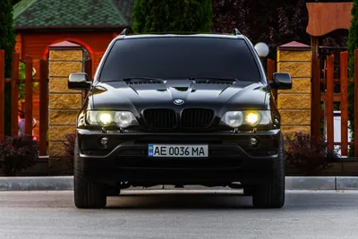 155. Фотографии новые📸. Коротко и ясно. — BMW X5 (E53), 3 л, 2005 года |  фотография | DRIVE2