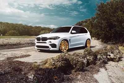 1080x1920 Bmw x5 Wallpapers for Android Mobile Smartphone [Full HD]