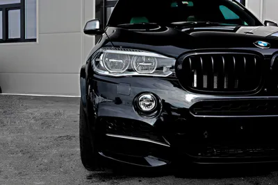 Бортжурнал BMW X5 Джунгарик