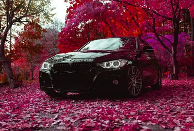 Bmw m4 competition G82 | Bmw, Bmw m4, Photo and video