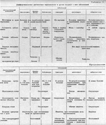 Рак языка: симптомы, диагностика, лечение, стадии и профилактика онкологии