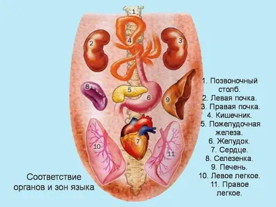 Стоматит - виды, причины, диагностика, методы лечения