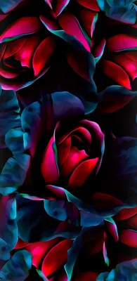 Pin by NicoleMaree77 on Roses Wallpaper 2 | Iphone backgrounds nature, Dark  iphone backgrounds, Beautiful flowers wallpapers