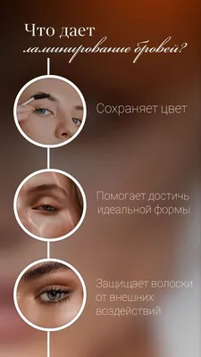 Оформление сторис | Больше полезного в профиле | Lashes beauty, Brow  make-up, Brows