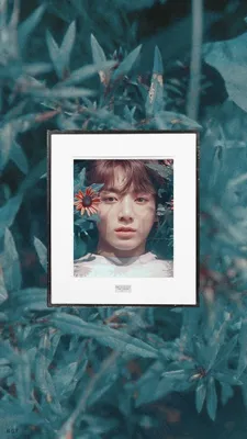 Обои для телефона BTS/ wallpaper BTS - Jungkook🐇 - Wattpad