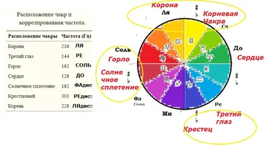 Чакра Муладхара | Блог Prosvetlenie