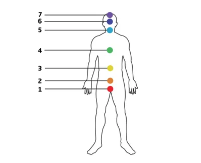 Чакры, еда и вы. Как использовать энергетические центры для исцеления,  гармонии - купить эзотерики и парапсихологии в интернет-магазинах, цены на  Мегамаркет |
