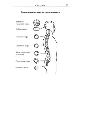 Книга Эксмо Чакры Полная энциклопедия купить по цене 833 ₽ в  интернет-магазине Детский мир