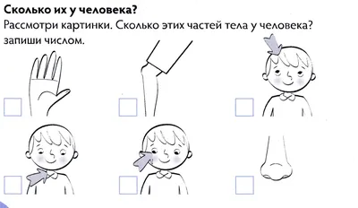 Части тела для детей в картинках на английском: запоминаем быстро и просто!  → slotObzor.com