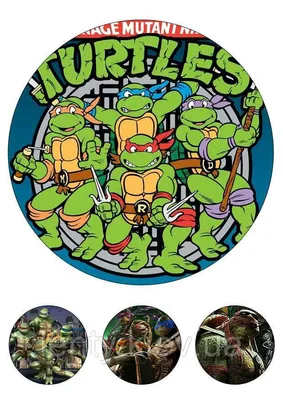 Фигурка TMNT Черепашки-Ниндзя Рестайлинг с боевым панцирем - Донателло (12  см) (90729) Купить по цене 325 грн грн. в Украине | Интернет-Магазин ROZUM