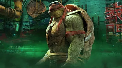 Набор фигурок TMNT Черепашки-ниндзя - Рафаэль против Трицератона (339050)  купить в интернет магазине с доставкой по Украине | MYplay