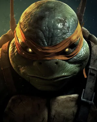 Скачать 800x1200 teenage mutant ninja turtles, черепашки, минимализм обои,  картинки iphone 4s/4 for parallax