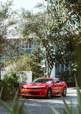 Chevrolet Camaro ZL1 2019 | Chevrolet camaro, Camaro, Chevrolet camaro zl1