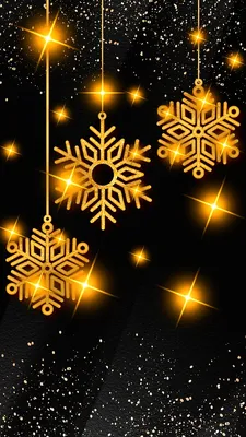 Wallpaper Best Merry Christmas, Christmas Tree, Christmas Day, Holiday,  Plant, Background - Download Free Image