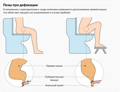 Необычные факты о туалете / AdMe