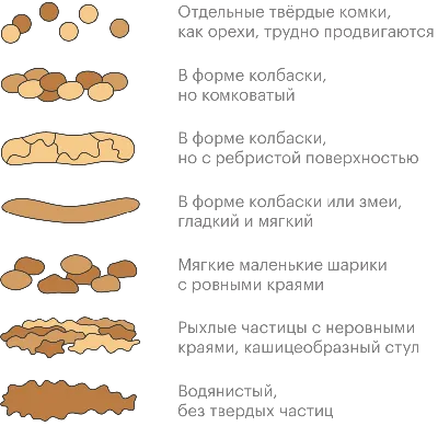 Геморрой: симптомы, причины, наружный и внутренний, стоимость лечения и  операции