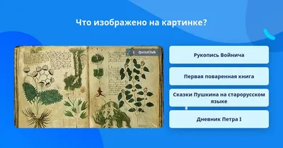 На картинке изображен человек в …» — создано в Шедевруме