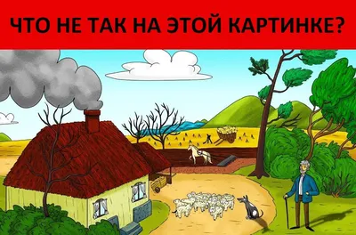 Что Не Так На Картинке