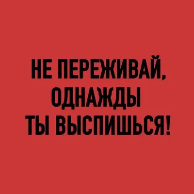 Что не так? Кот Фёдор и времена года - купить книгу Что не так? Кот Фёдор и  времена года в Минске — Издательство Феникс+ на OZ.by