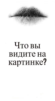 Тест: первое, что вы видите на картинке, показывает, насколько вы склонны к  риску | Mixnews