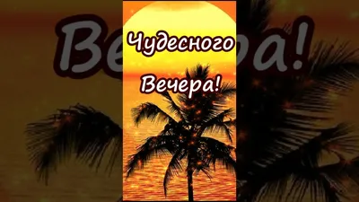 Всем доброго уютного вечера и спокойной ночи!