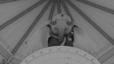 Dumbo обои на телефон [29+ изображений]