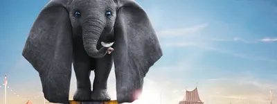 Dumbo обои на телефон [29+ изображений]