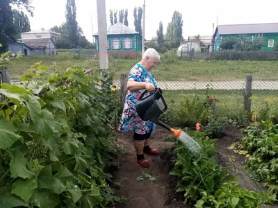 Прикольные стихи про дачу дачниках ~ Поздравинский - агрегатор поздравлений  для всех праздников