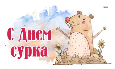 День сурка наш!