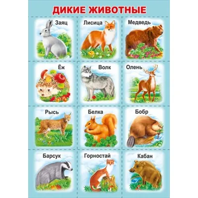 Детский пазл РУЗ Ко Дикие животные России Пл55п(10) по цене 329 ₽/шт.  купить в Москве в интернет-магазине Леруа Мерлен