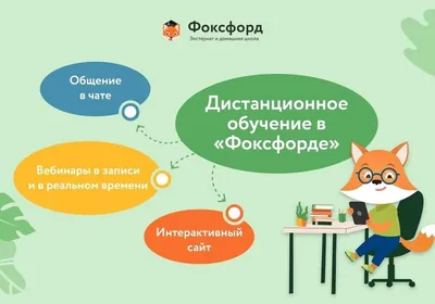 В Москве продлили дистанционное обучение для школьников 6–11 классов — РБК