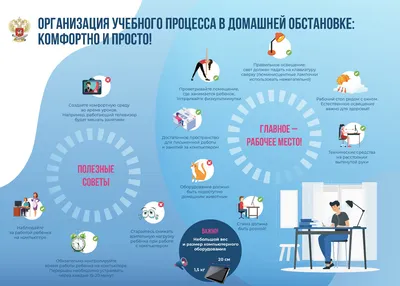 Петербургских школьников могут перевести на дистанционное обучение из-за  коронавируса | Sobaka.ru