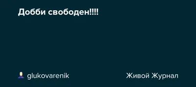 Добби свободен». Ян Непомнящий опубликовал фото после поражения на Кубке  мира - Чемпионат