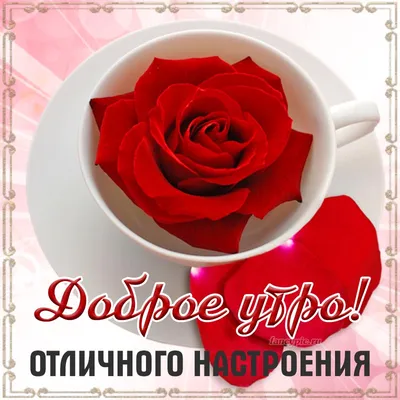 Доброе утро всем ❤️хорошего дня и …» — создано в Шедевруме