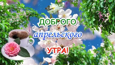 Доброе Апрельское Утро Картинки