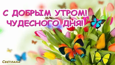 Вдохновение ДУШИ - И СНОВА УТРО... И СНОВА ЗДРАВСТВУЙТЕ!!! С добрым  АПРЕЛЬСКИМ утром всех!.. Пусть новый день улыбнётся Вам улыбкой СЧАСТЬЯ!  Всем радости, весёлого настроения и счастливых улыбок!!! | Facebook