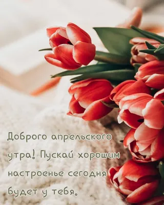 С Добрым весенним утром!!!#поздравление#пожелания #веснапришла #пожел... |  TikTok