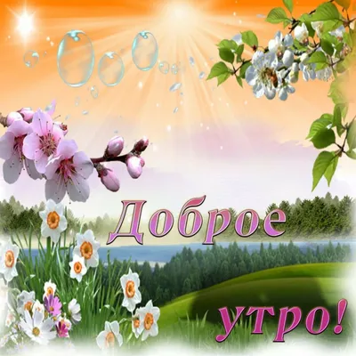 Летние открытки \"Доброго утра!\" (233 шт.)