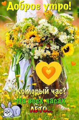 Летнее Утро доброе! 💐🌿 | Доброе утро, Открытки, Утренние цитаты