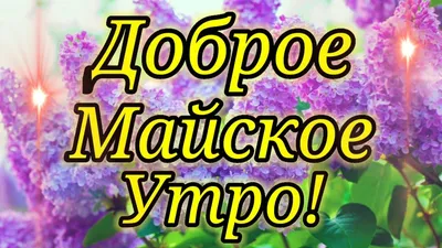 Открытки с добрым майским утром! Доброе майское утро! Доброе весеннее утро...  | Страница 2 | Открытки, Доброе утро, Цитаты о счастье