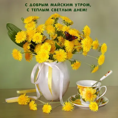 Мудрая бабулечка added a new photo. - Мудрая бабулечка