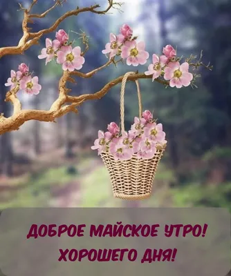 Открытки \"Доброго майского утра!\" (88 шт.)